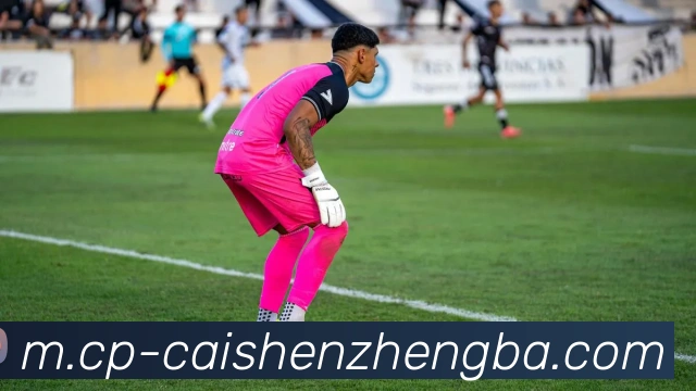 彩神争霸APP 封面图